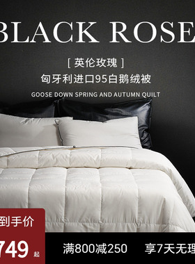ESTEEM/宜庭英伦玫瑰95白鹅绒被匈牙利进口夏春秋被【专柜同款】