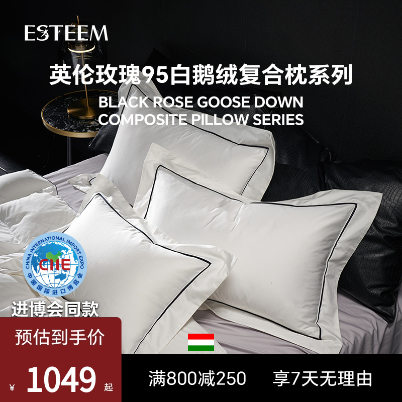 Esteem宜庭匈牙利95白鹅绒枕头