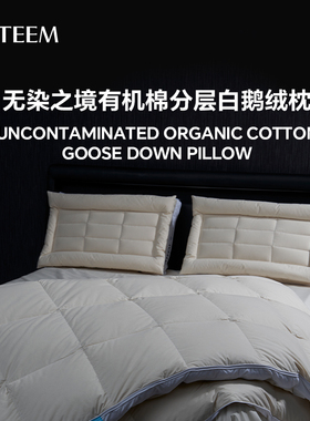 ESTEEM/宜庭无染之境生态有机棉覆合分层白鹅绒枕头【专柜同款】