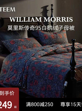 ESTEEM/宜庭莫里斯传奇匈牙利可水洗95鹅绒被子母被【专柜同款】