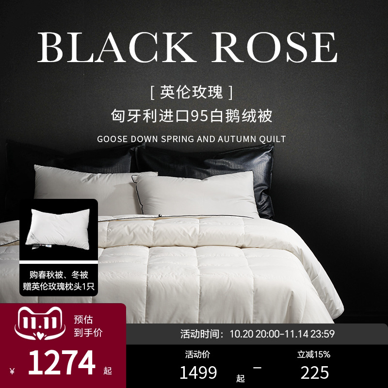 Esteem宜庭匈牙利95白鹅绒羽绒被