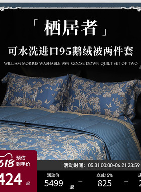 ESTEEM/宜庭栖居者匈牙利95白鹅绒被子母冬被春秋被【专柜同款】