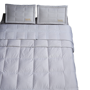 ESTEEM/宜庭双温双感羽绒被进口95白鹅绒被子母被芯【专柜同款】