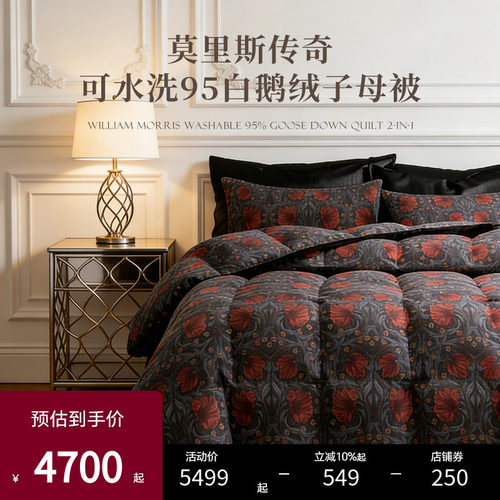 Esteem宜庭匈牙利白鹅绒羽绒被