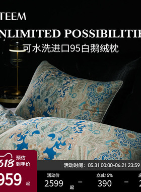 ESTEEM/宜庭菲尔德俄罗斯进口95白鹅绒枕可水洗枕头【专柜同款】