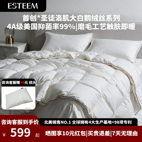 鹅羽绒被加厚冬被芯白鹅绒丝