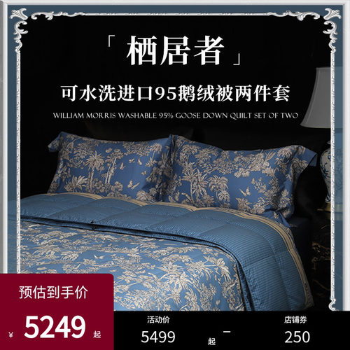 Esteem鹅绒被95白鹅绒被羽绒被
