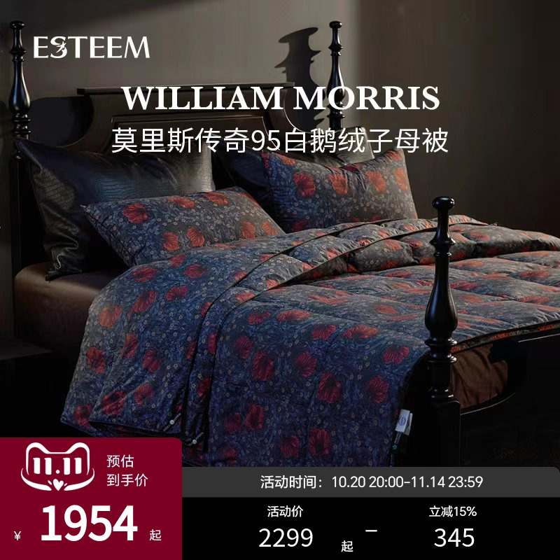 Esteem宜庭匈牙利白鹅绒羽绒被