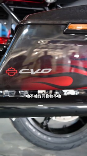 哈雷戴维斯双灯121 117CVO防水贴纸 哈雷旗舰大滑翔CVO防水贴花