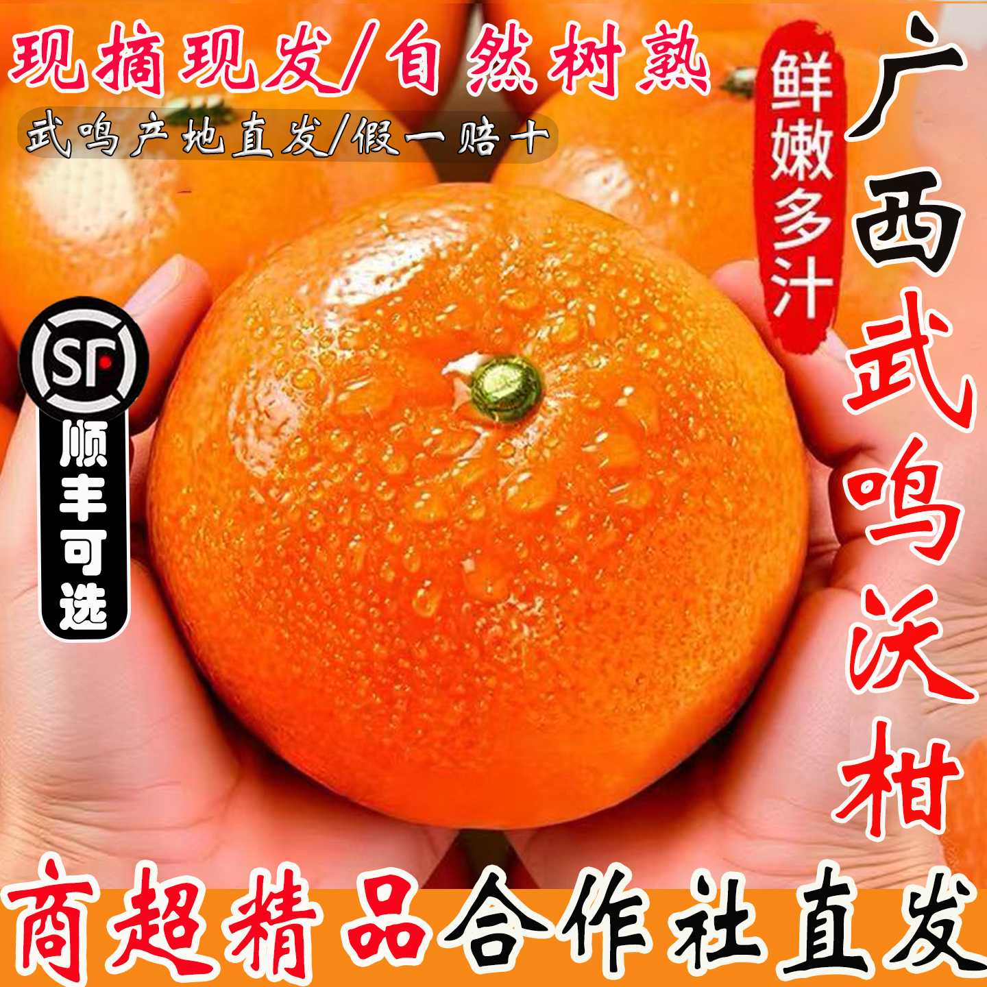 【武鸣合作社直发】武鸣沃柑