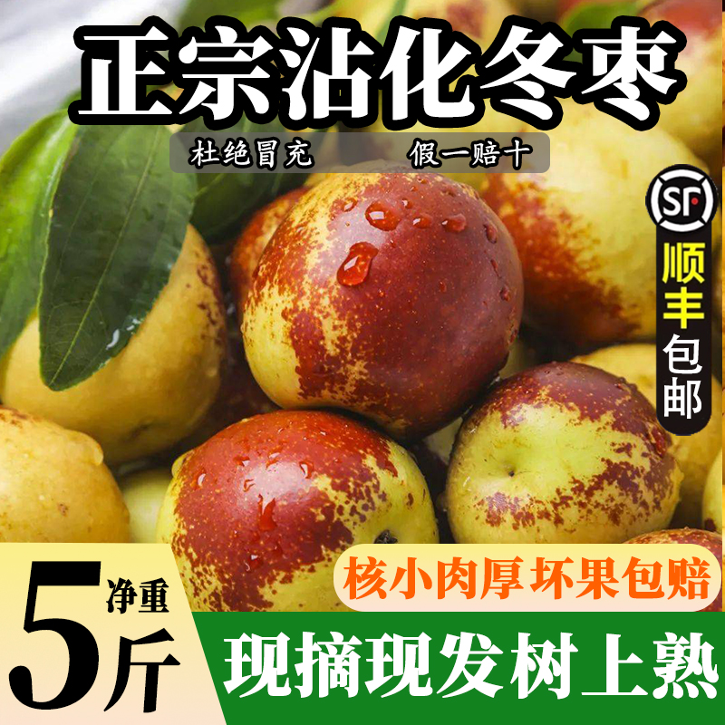 【产地优选】沾化冬枣当季甜脆