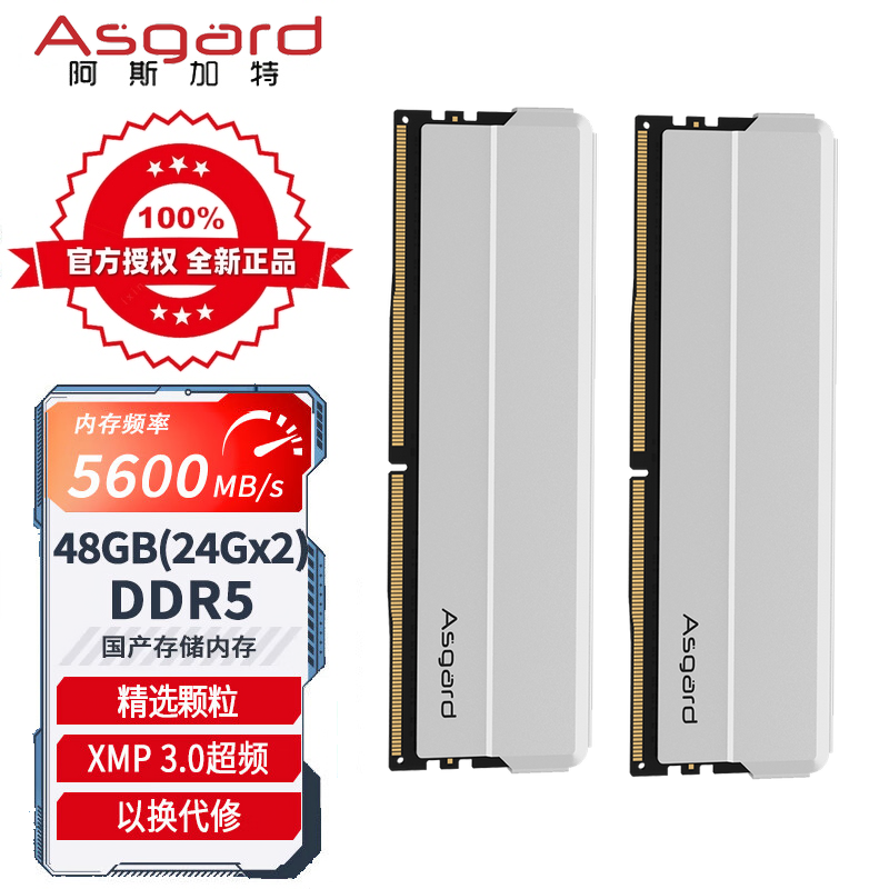 阿斯加特（Asgard）48GB(24GBx2)套装 DDR5 5600台式机内存海拉