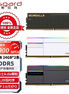 阿斯加特16G 24G DDR5 6000C28电脑内存条 海姆达尔 女武神 RGB灯