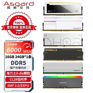 6000C28电脑内存条 阿斯加特16G 24G DDR5 女武神RGB灯条 博拉琪