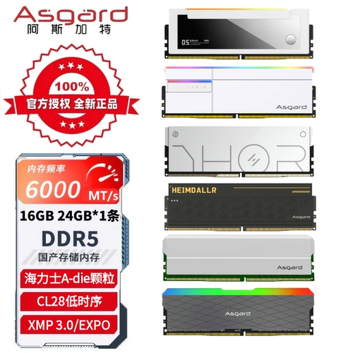 内存条Asgard/阿斯加特DDR5台式