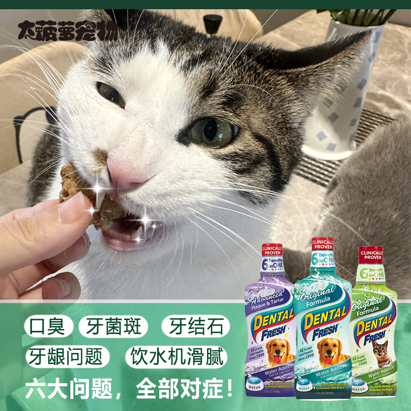 威铂洁齿水漱口水去牙结石猫狗用