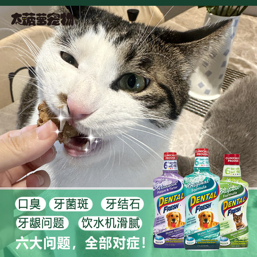 威铂洁齿水漱口水去牙结石猫狗用