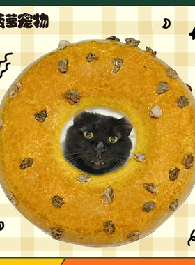 CATWANT猫咪旺农场 木天蓼甜甜圈虫瘿果洁齿磨牙猫玩具咬咬舒压