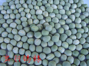 青豌豆鸽饲料/鸽粮/豌豆鸽粮/信鸽饲料/47斤包邮(只发江浙沪皖）