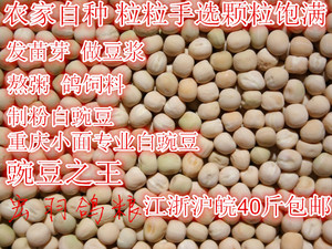 豌豆鸽子食鸽粮豌豆 白玉豌豆40斤 (只发江浙沪皖）