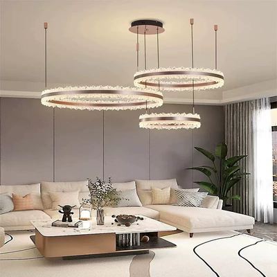 2025年新款设计师圆环形吊灯