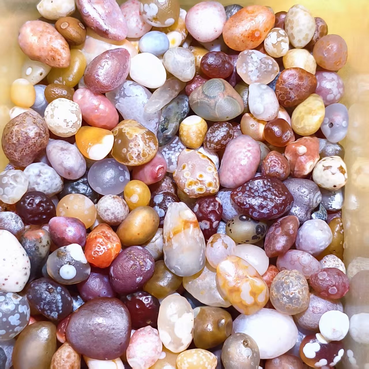 阿拉善戈壁玛瑙直播专拍补单链接2,珠宝/钻石/翡翠,颈饰,淘宝优惠券,粉丝福利购,淘宝优惠卷