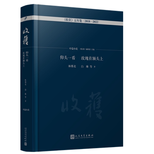正版包邮 仰头一看玫瑰在额头上 中篇小说卷 收获五年集2018—2022  收录林晓哲宁肯白琳林那北曹寇等中篇佳作 人民文学出版社