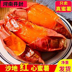 5斤超甜西瓜红红心地瓜番薯软糯甜大果河南开封沙地蜜薯糖心红薯