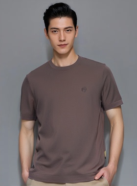 D251031B65爱登堡男装春夏装新款商务休闲短袖圆领针织衫毛衫