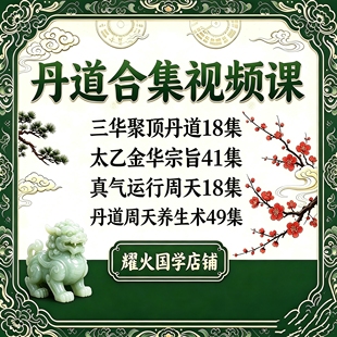 丹道视频课程南宗隐仙內练筑基修炼秘诀多套丹法高阶秘技炼丹修真