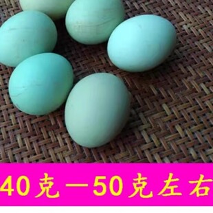 绿壳白壳湖南农家散养土鸡蛋乌鸡蛋新鲜正宗草鸡蛋月子蛋30枚包邮