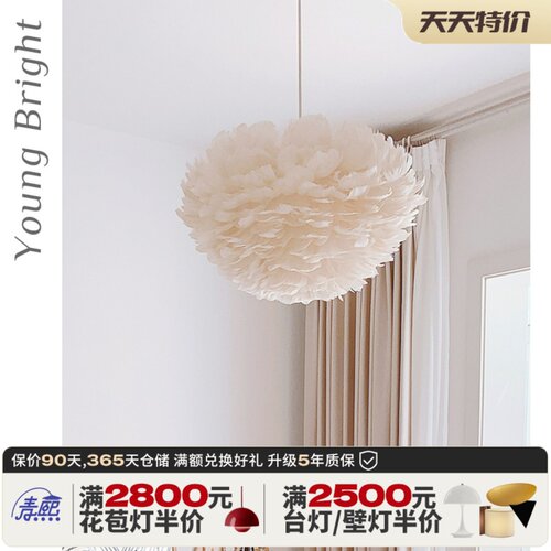 羽毛灯卧室吊灯温馨浪漫少女灯具网红北欧灯具ins儿童房羽毛吊灯