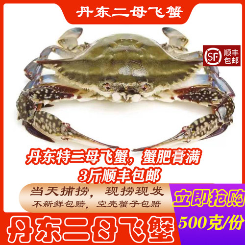 野生螃蟹梭子蟹冰鲜梭子蟹