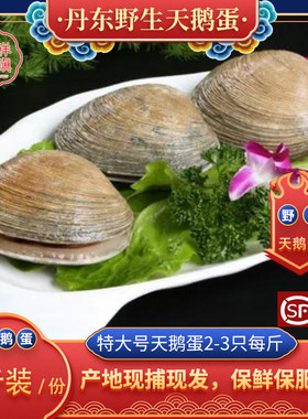 天鹅蛋大蛤蛤蜊大蚬子