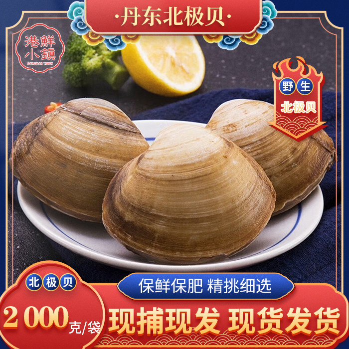 丹东北极贝鲜活海鲜东港贝类