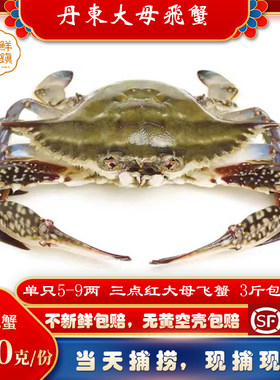 满黄飞蟹母蟹满膏母蟹丹东满黄