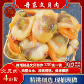 丹东特产野生文贝肉海鲜黄蚬子肉蛤蜊肉鲜活文贝制作肥蛤肉新鲜