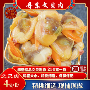 丹东特产野生文贝肉海鲜黄蚬子肉蛤蜊肉鲜活文贝制作肥蛤肉新鲜