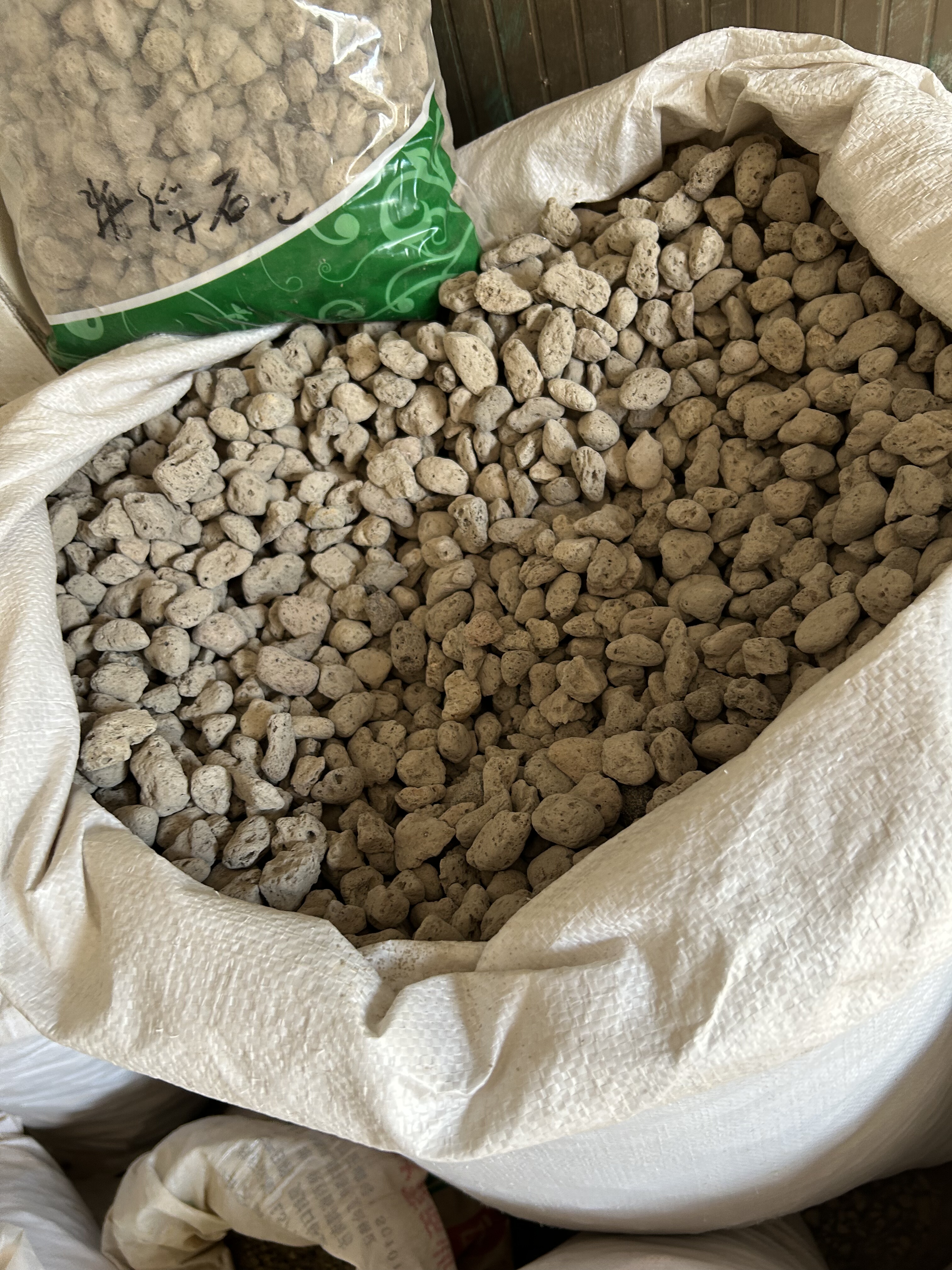 950克  干货  海浮石 火山灰 浮海石