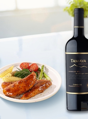 TAMAYA智利大玛雅总统之选卡曼尼进口干红葡萄酒750ml
