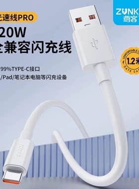 尊客Type-C/120W/6A快充数据线