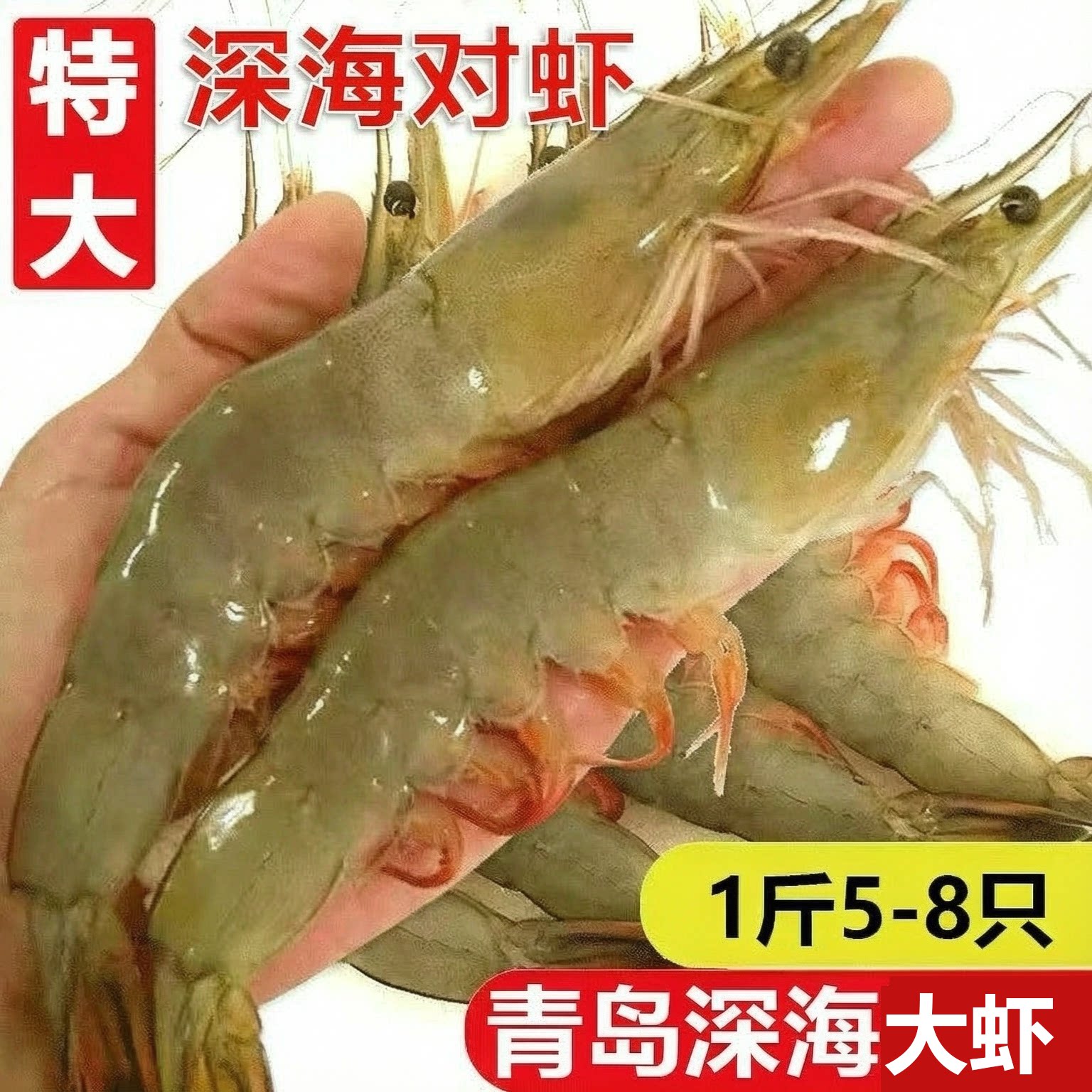 特大青岛对虾深海大虾新鲜海捕