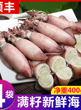 带籽笔管鱼新鲜海兔顺丰