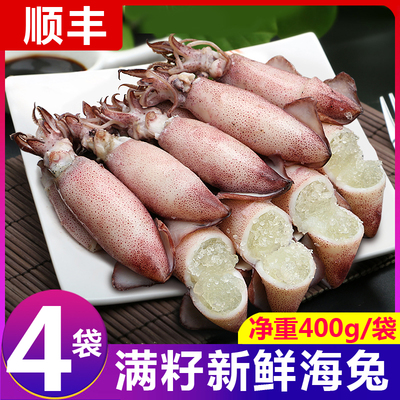 带籽笔管鱼新鲜海兔顺丰