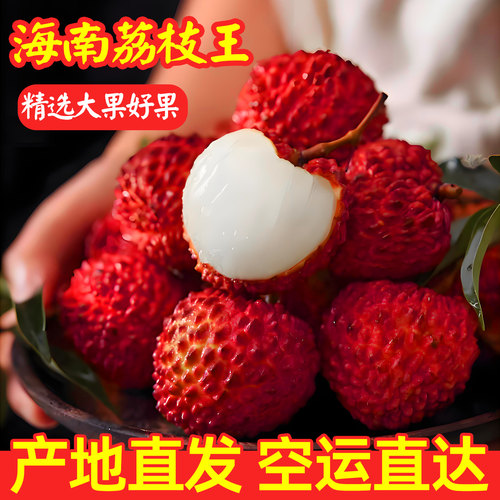 送礼佳品现货海南永兴荔枝王