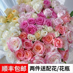 玫瑰花鲜花表白七夕云南基地直发红粉花束爱人鲜切 送女友水养 包邮