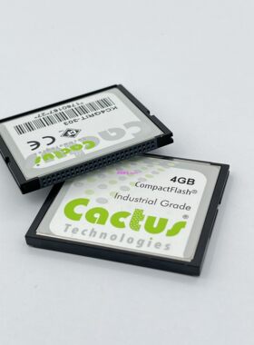 仙人掌工业级4g闪存卡cf