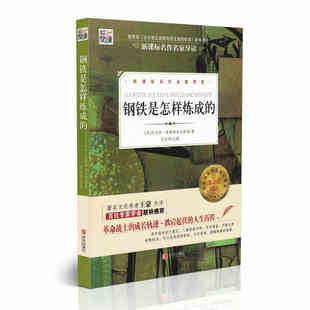 笔记式 经典 核心阅读文学书系 正版 钢铁是怎样炼成 名作名家导读 中小学生课外阅读书籍 包邮 区域 阅读 文学名著