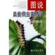 正版 图说桑蚕病虫害防治图书书籍 包邮
