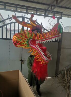 大型巡游舞龙特大号舞龙庙会龙
